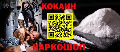 индика Новодвинск