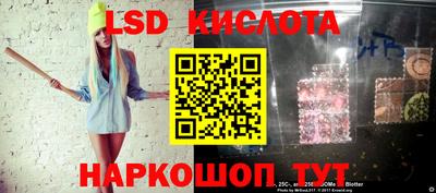 индика Новодвинск