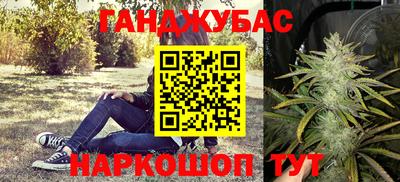 индика Новодвинск