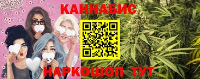 индика Новодвинск