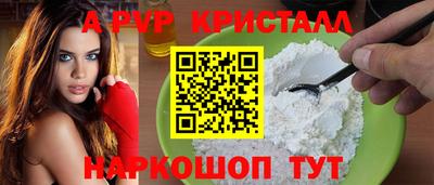 индика Новодвинск