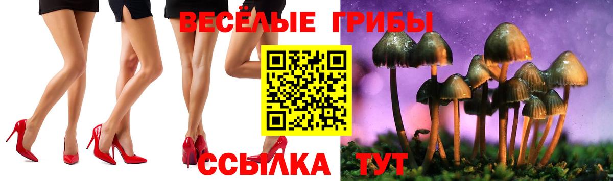 магазин  наркотиков  Вход с VPN  Псилоцибиновые грибы Cubensis  Саянск  Галлюциногенные грибы мицелий 